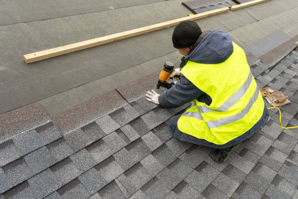 Best Roof Gutter Cleaning  in Eagar, AZ