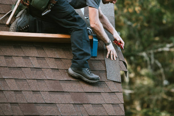 Best Local Roofing Companies  in Eagar, AZ